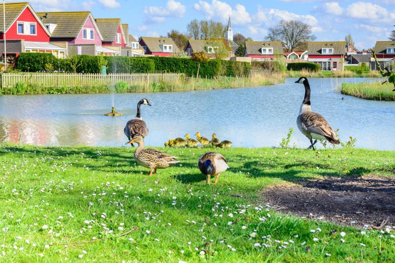 Grimaud 151 - Kustpark Village Scaldia Hoofdplaat Exteriör bild